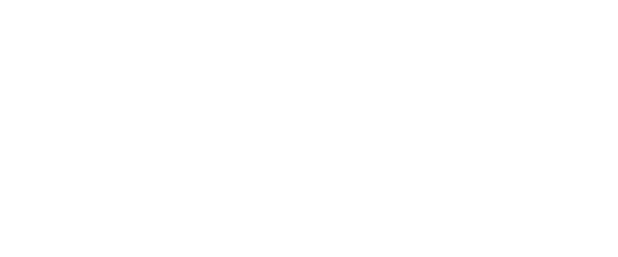 Tecnical